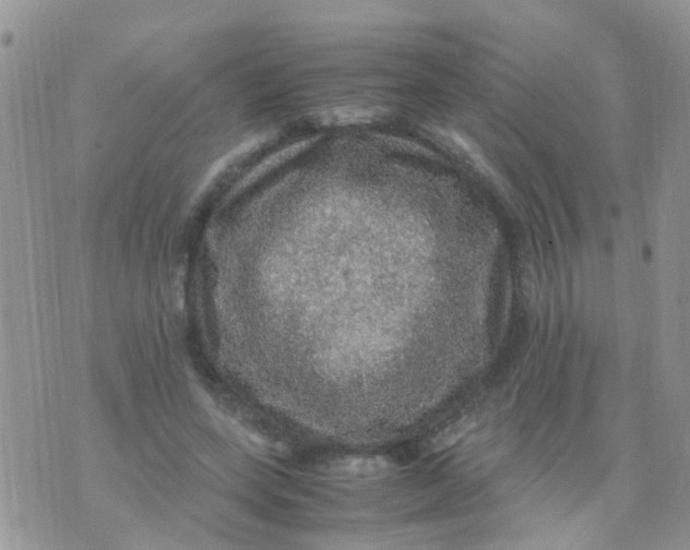 X0000070410543200606302039