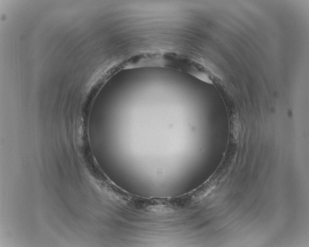 X0000070410544200606302039