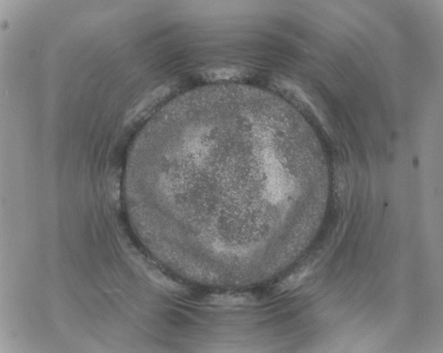 X0000070410545200606302039