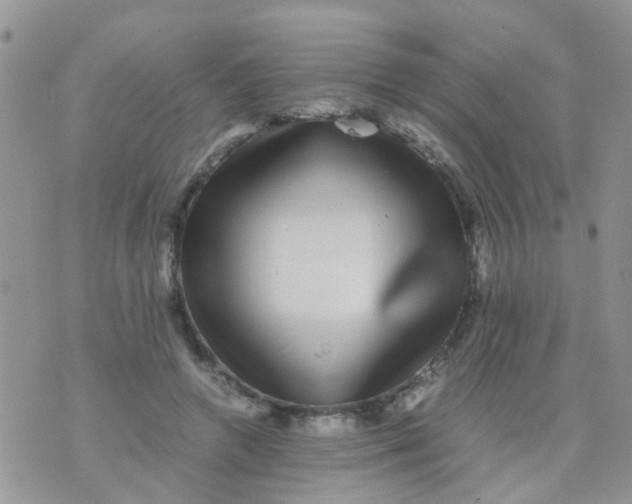 X0000070410546200606302039