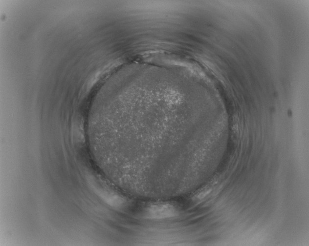 X0000070410547200606302039