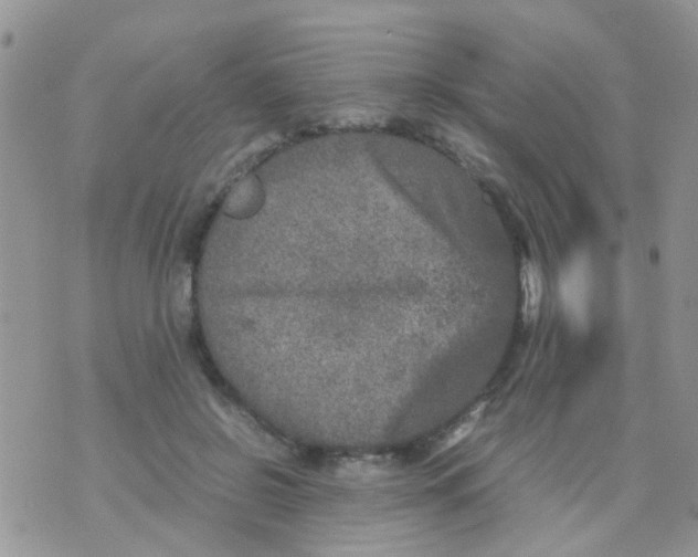 X0000070410550200606302039