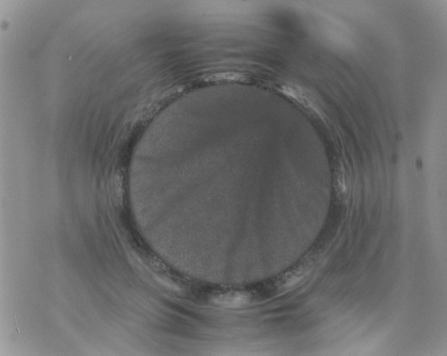 X0000070410551200606302039