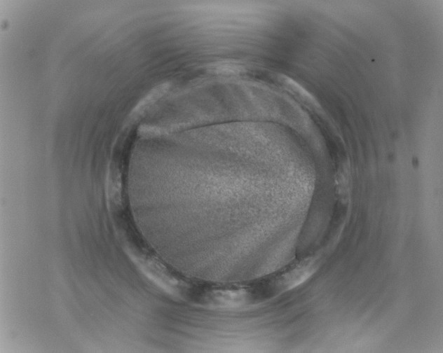 X0000070410552200606302039