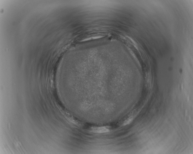 X0000070410553200606302039