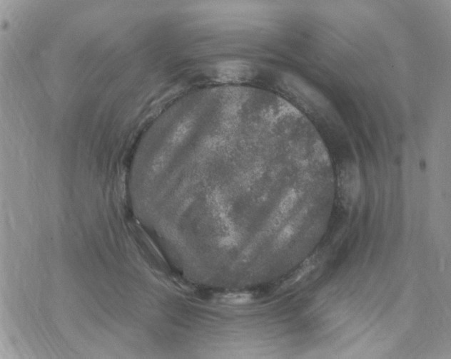 X0000070410554200606302039