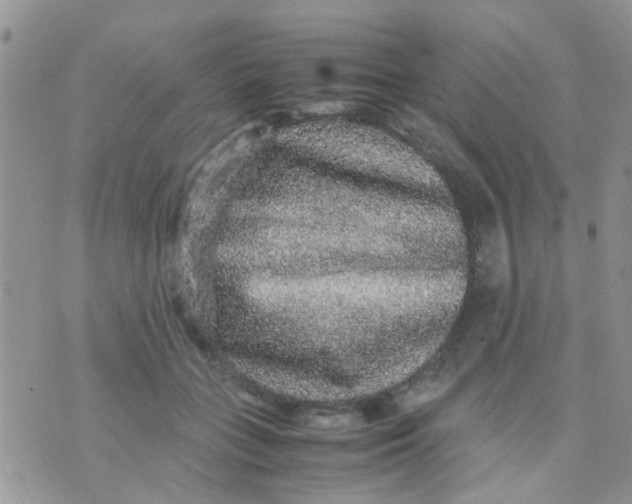 X0000070410555200606302039