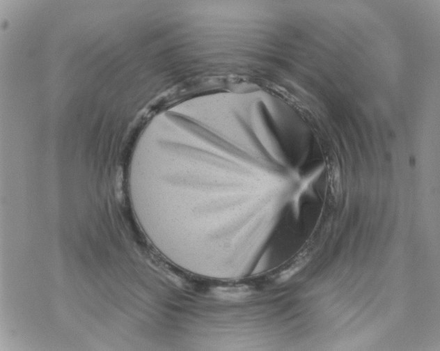 X0000070410556200606302039