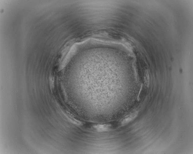 X0000070410558200606302039