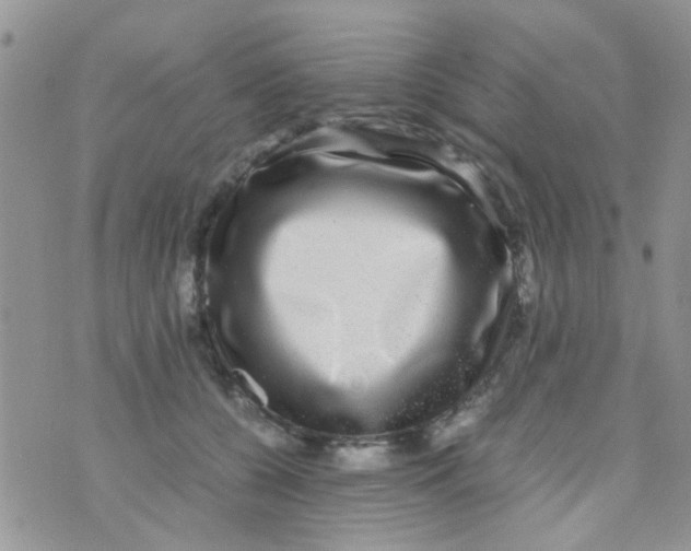 X0000070410560200606302039