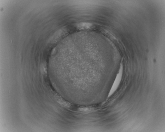 X0000070410561200606302039