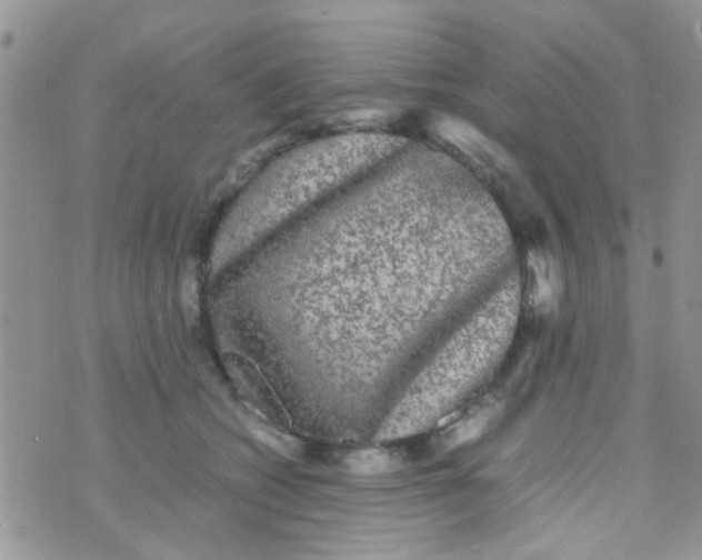 X0000070410562200606302039