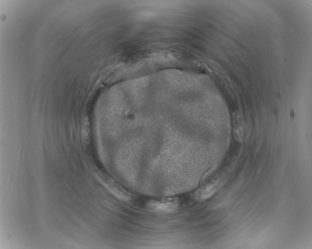 X0000070410563200606302039