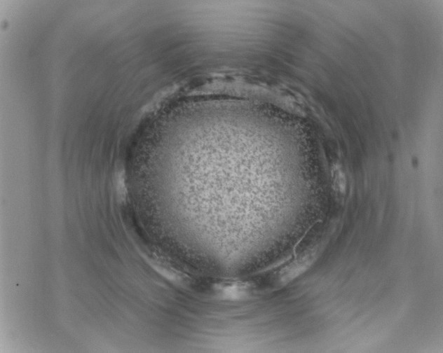 X0000070410564200606302039