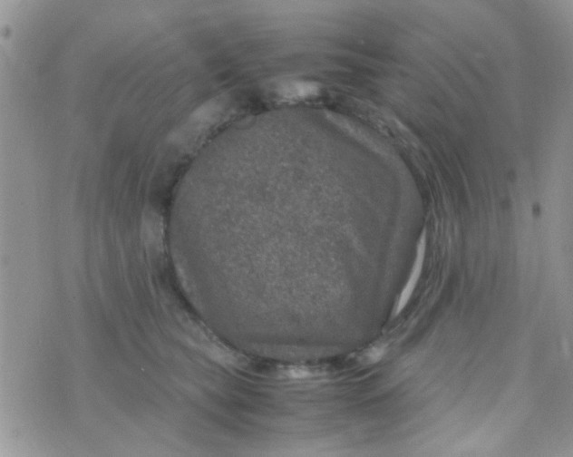 X0000070410565200606302039