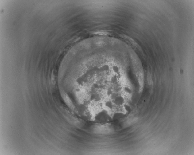 X0000070410569200606302039