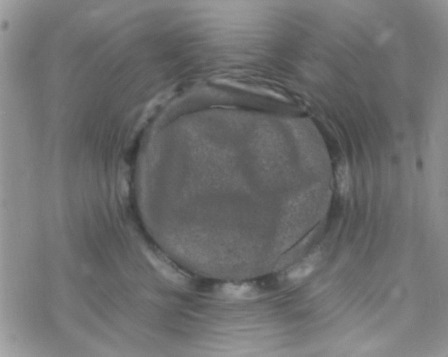 X0000070410570200606302039