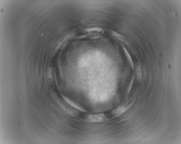 X0000070410571200606302039