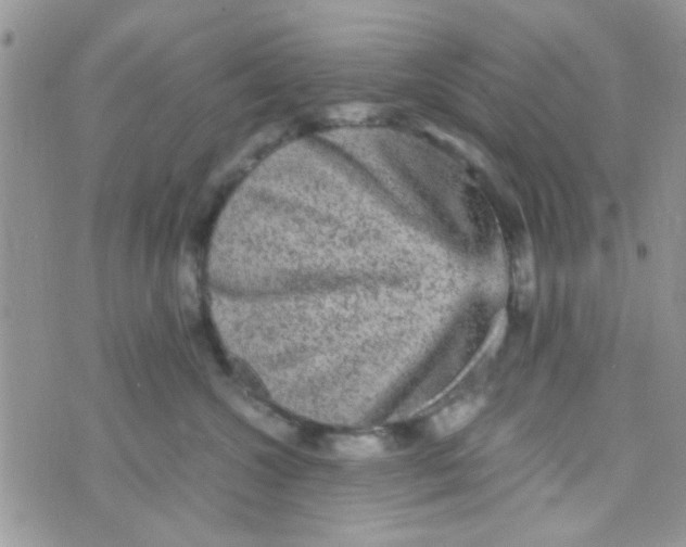 X0000070410572200606302039