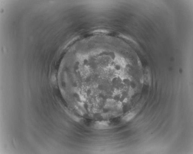 X0000070410573200606302039