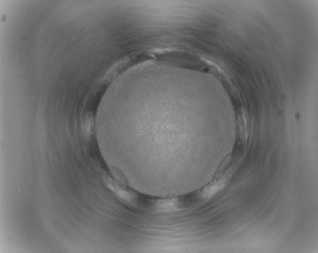 X0000070410574200606302039