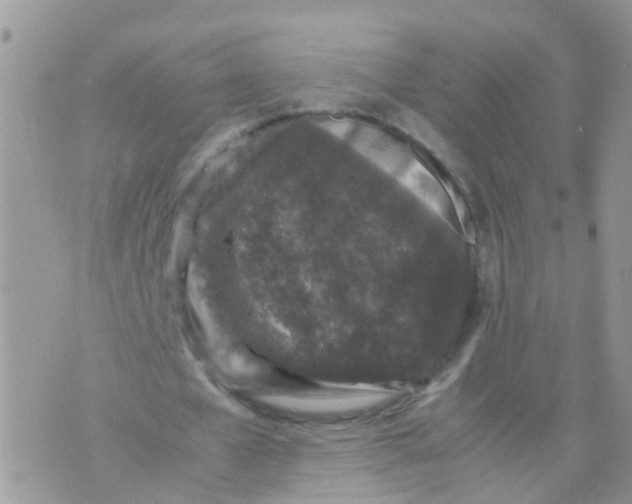 X0000070410577200606302038