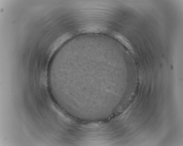 X0000070410578200606302038