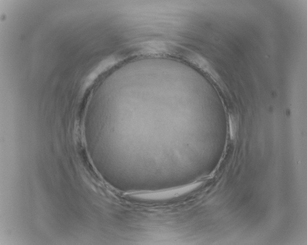 X0000070410579200606302038