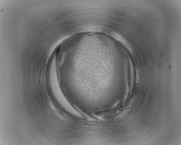 X0000070410580200606302038