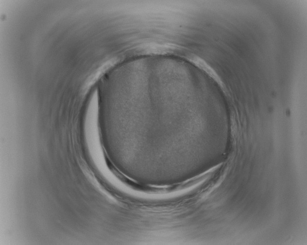 X0000070410581200606302038