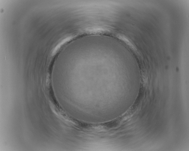 X0000070410583200606302038