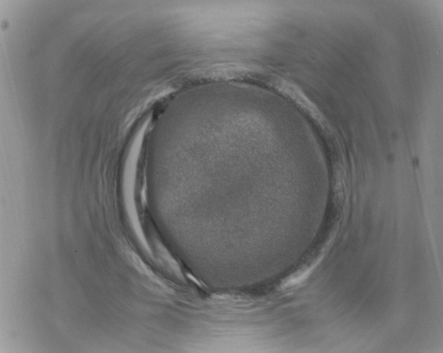 X0000070410585200606302038