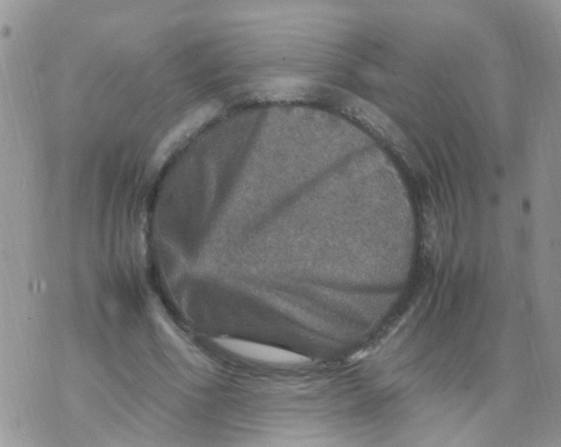 X0000070410586200606302038