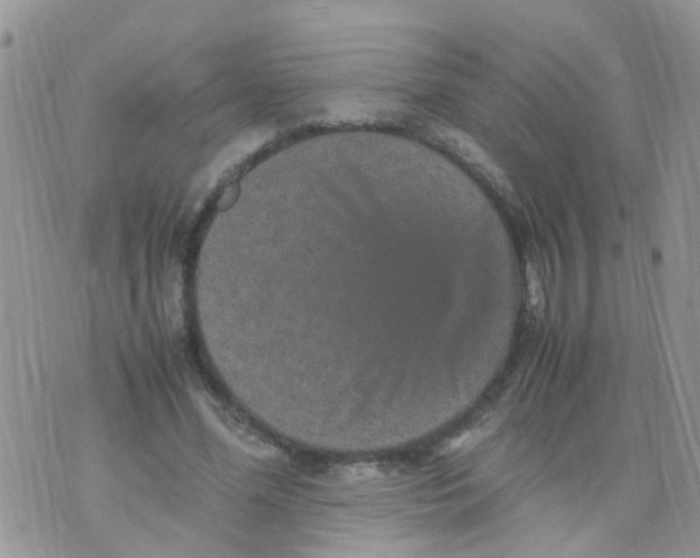 X0000070410588200606302038