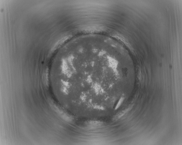 X0000070410590200606302038