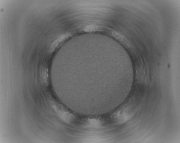 X0000070410592200606302038