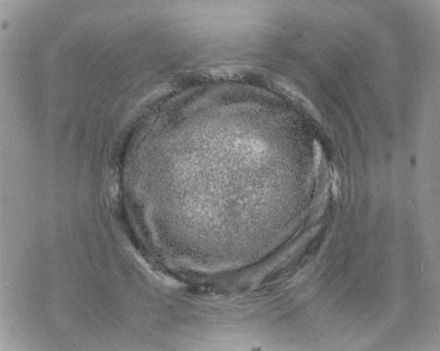 X0000070410593200606302038