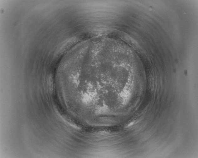 X0000070410594200606302038