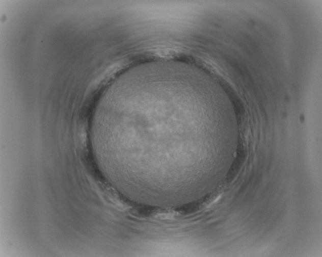 X0000070410595200606302038