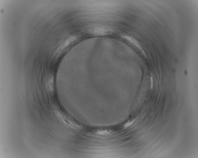 X0000070410596200606302038