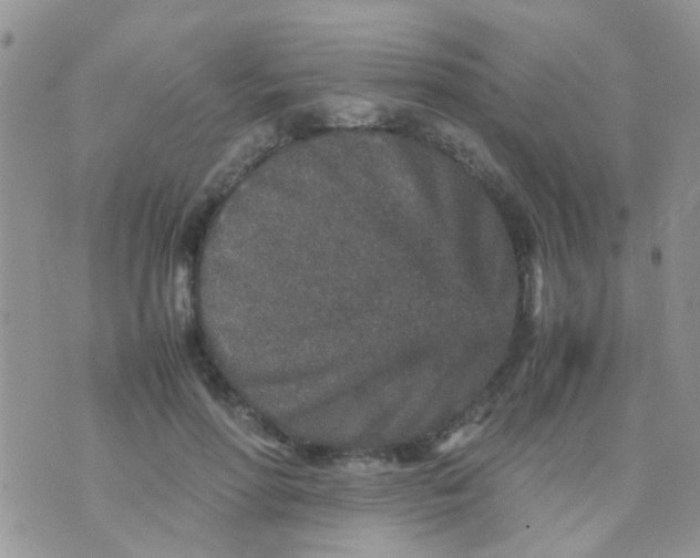 X0000070410598200606302038