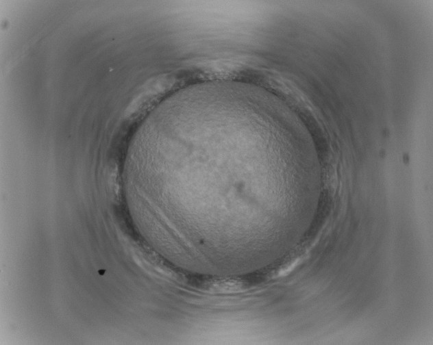 X0000070410599200606302038