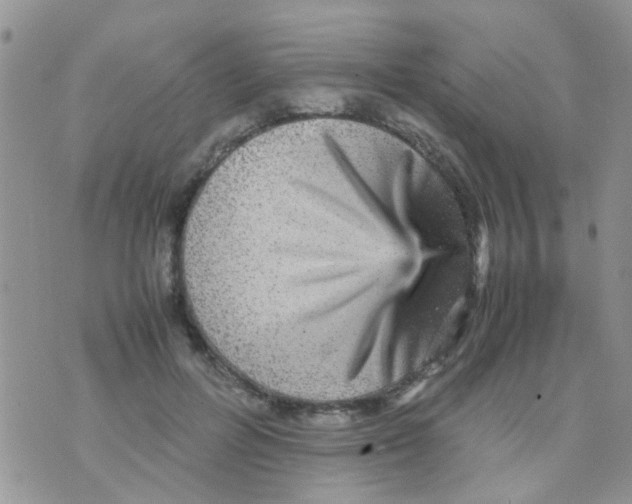 X0000070410600200606302038