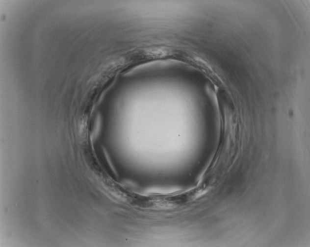 X0000070410601200606302038