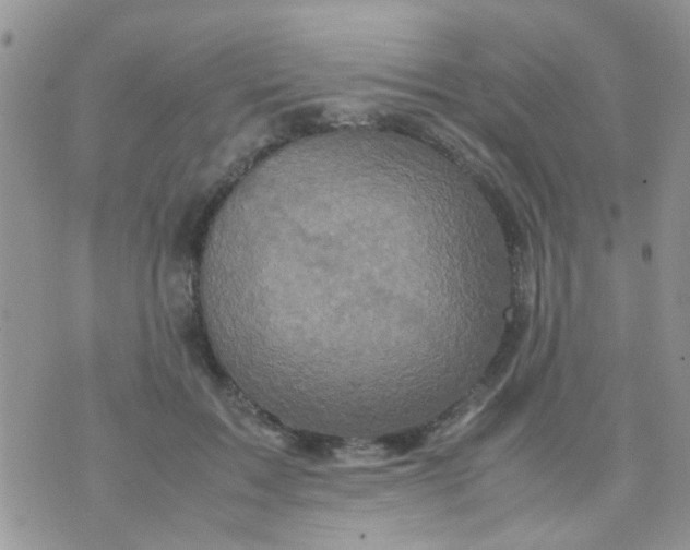 X0000070410603200606302038