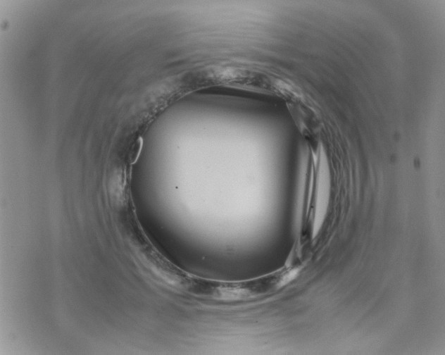 X0000070410605200606302038