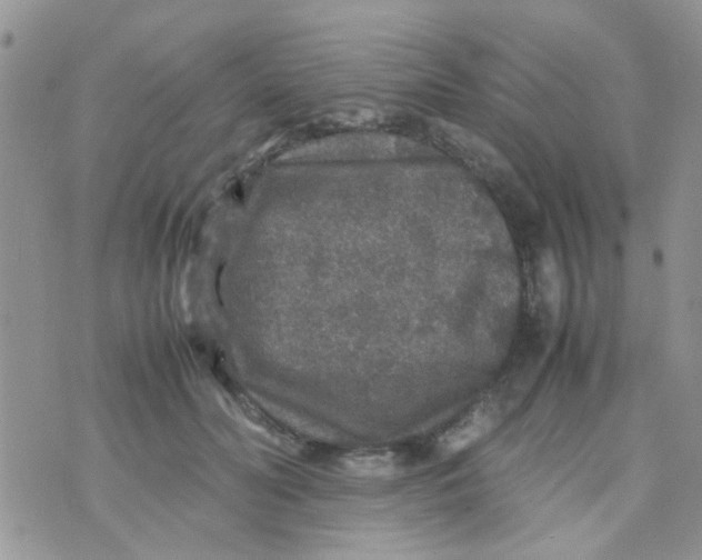 X0000070410606200606302038