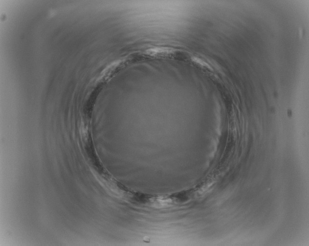 X0000070410607200606302038