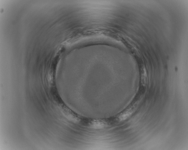 X0000070410608200606302038