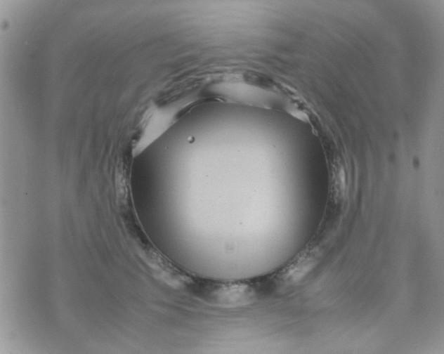 X0000070410609200606302038